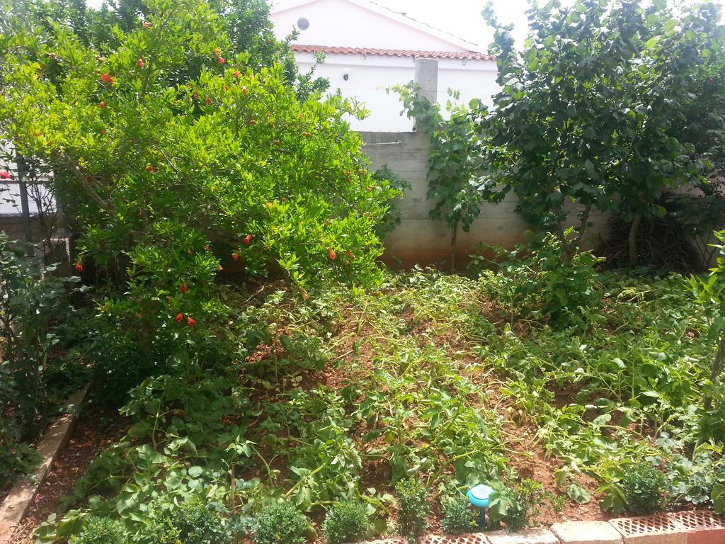 Apartment B&K Raslina Bilik gambar